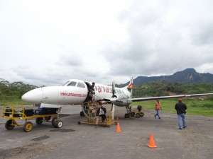 Miniflugzeug in den Dschungel