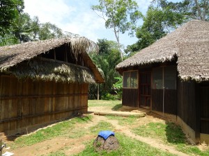 Lodge im Dschungel