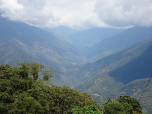 Yungas