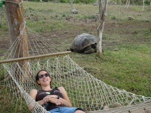 Siesta mit Riesenschildkröte