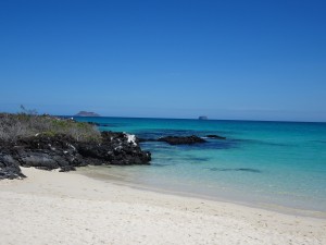 Strand auf der Insel Norte Seymour