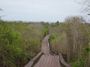 Der Weg zur Tortuga Bay