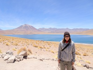 Lagunas Miscanti & Miñiques