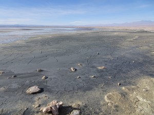 Salar de Atacama